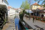 PICTURES/Prague - Kampa Island/t_Canal4.JPG